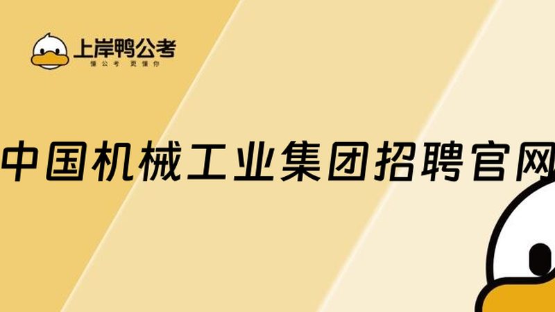 传送带报价背后的考量因素